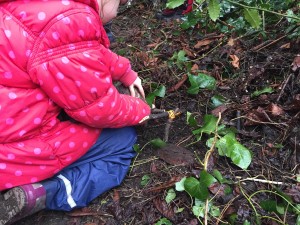 rang 2 forest school iv