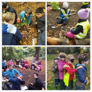 forest-schools-3